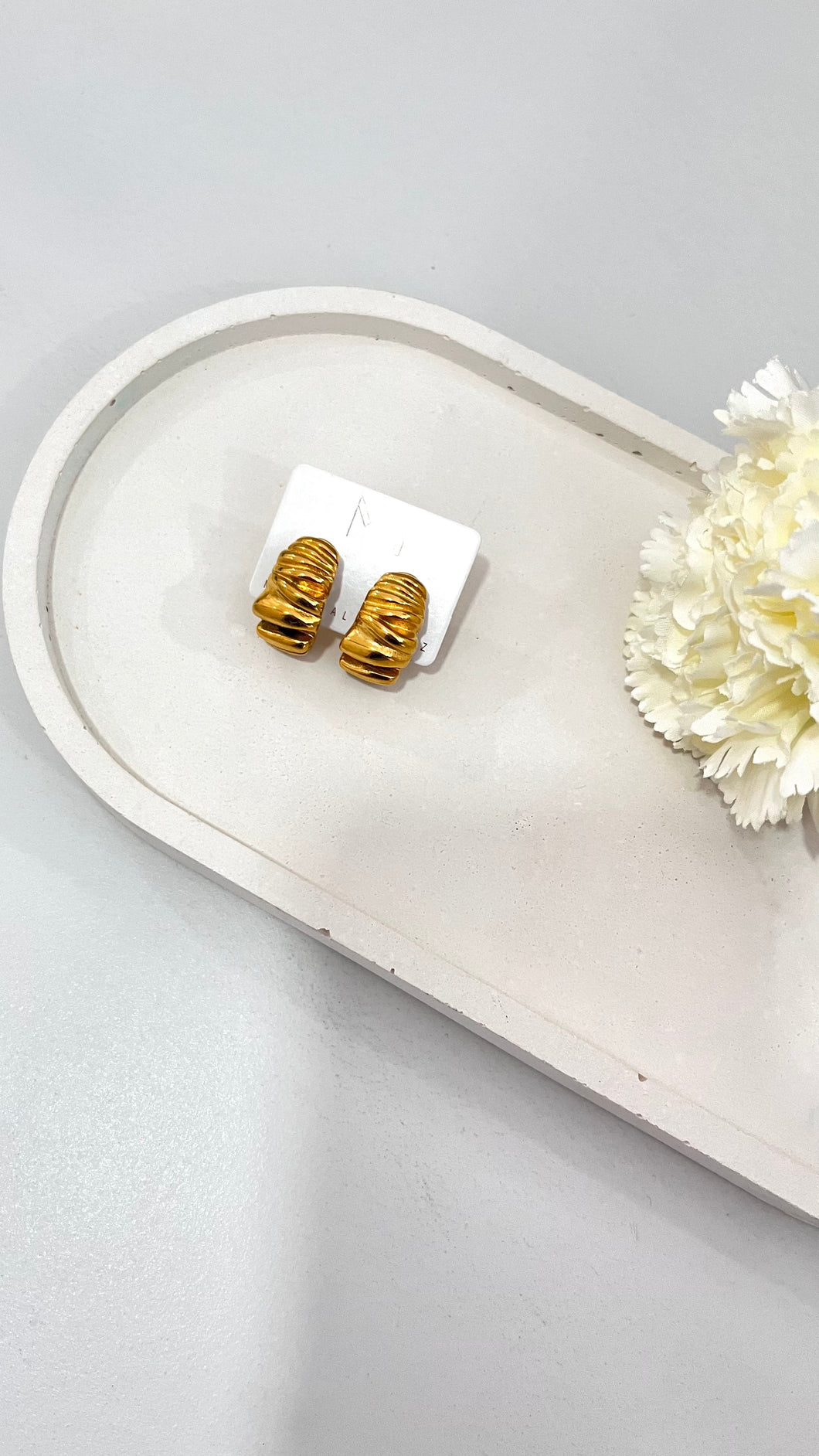 GNO Stainless Steel Earrings