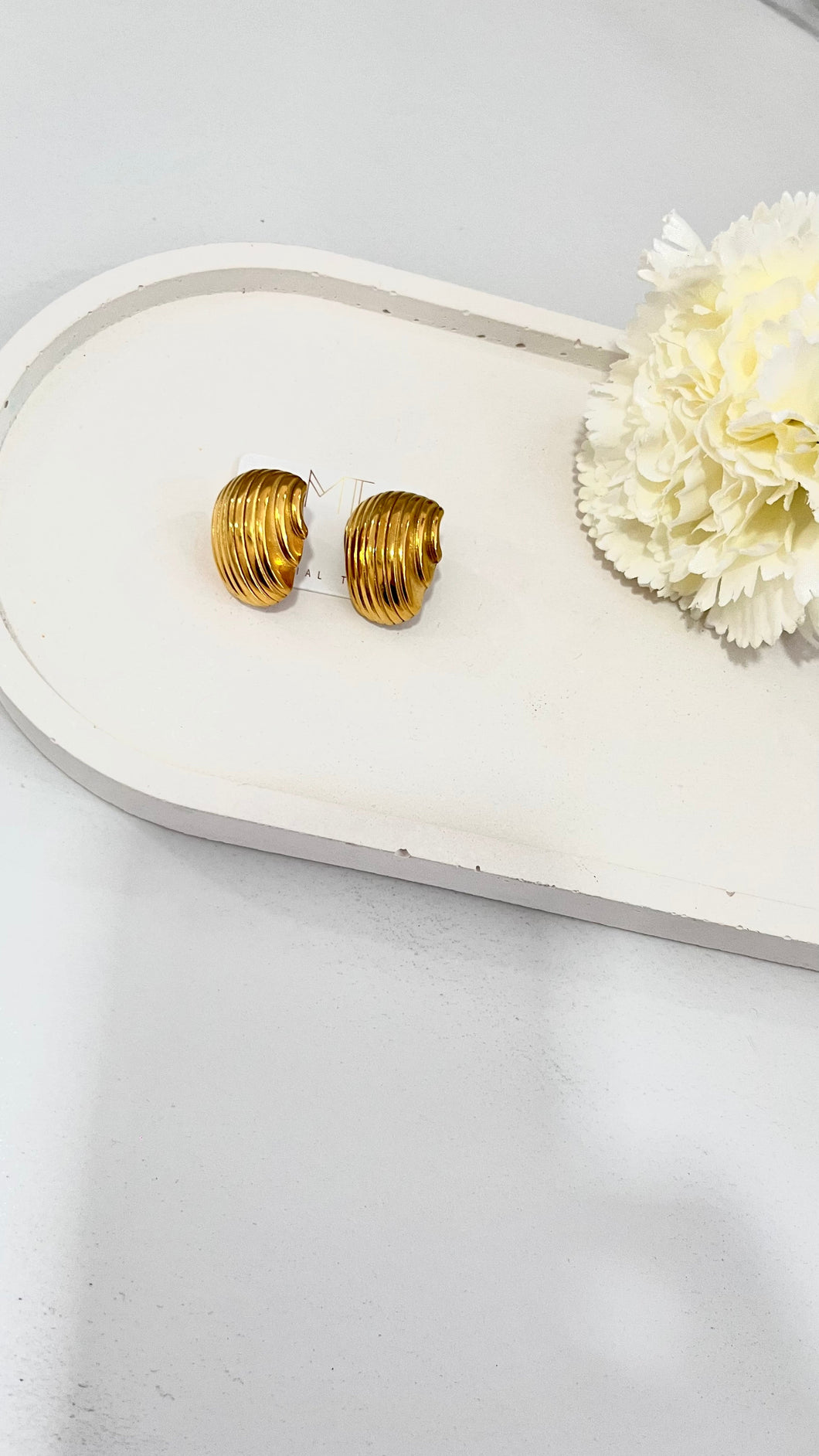 Trendy Stainless Steel Earrings